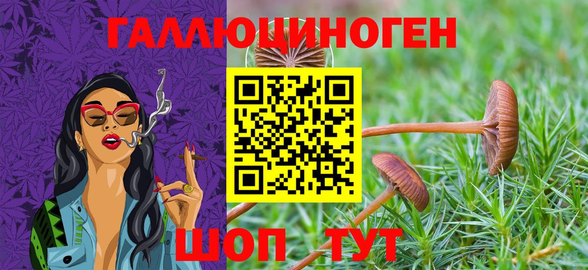 Галлюциногенные грибы Magic Shrooms Нефтекамск