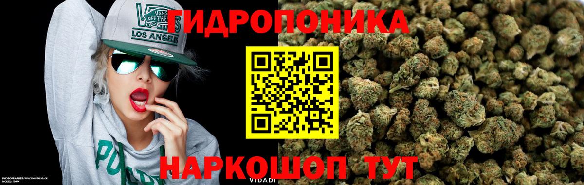 Бошки марихуана Ganja  МАРИХУАНА гибрид  Нефтекамск  Вход с VPN  Канабис VHQ 